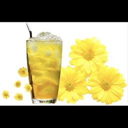 น้ำเก๊กฮวย