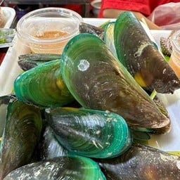 แมลงภู่ครึ่งโล