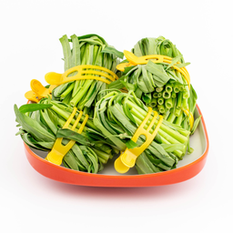 ผักบุ้ง