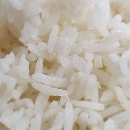 ข้าวเปล่า(ข้าวหอม)