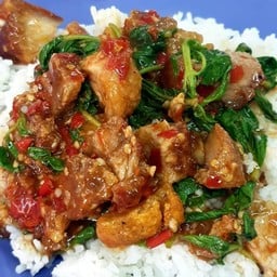 ข้าวกะเพราหมูกรอบราดข้าว(ฟรีไข่ดาว)