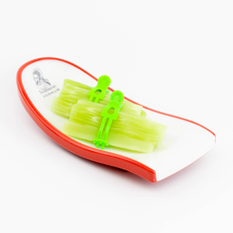 ต้นผักกาดหอม