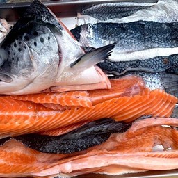 ชุดอะไหล่ปลา