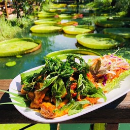 จระเข้ผัดฉ่า