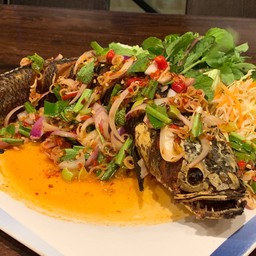 ปลาช่อนลุยสวน