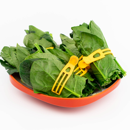 ปวยเล้ง