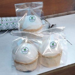 น้ำมะพร้าว&มะพร้าวถอดเสื้อ