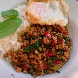 กะเพราโบราณคุณน้อง 29฿ กะเพราโบราณคุณน้อง โชคชัย 4