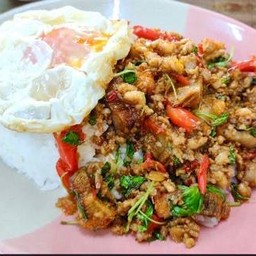 ข้าว กะเพราหมูกรอบ+หมูสับ