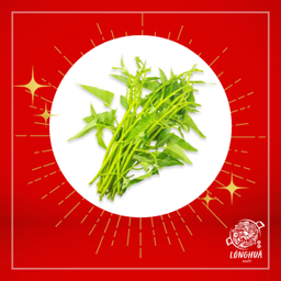 ผักบุ้ง 3 ต้น