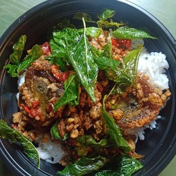 ข้าวกระเพราหมูสับไข่เยี่ยวม้า