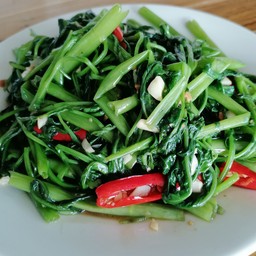 飞天空心菜 ผักบุ้งไฟแดง