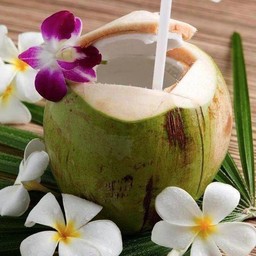 น้ำมะพร้าว