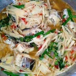 แกงปลาช่อนหน่อไม้ดอง