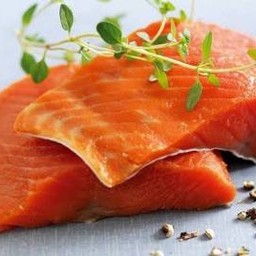 salmon