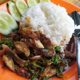 ข้าวกะเพราหมูชิ้น