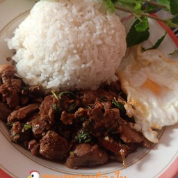 กระเพราเครื่องในไก่ไข่ดาว
