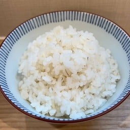 ข้าวบาร์เลย์