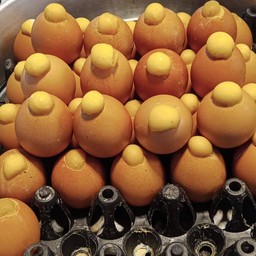 ไข่ทรงเครื่อง