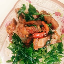 ข้าวกะเพราหมูกรอบ