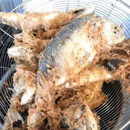 ปลาทูนึ่งชุบไข่ทอดตัวใหญ่ตัวละ50บาท
