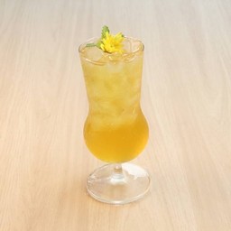 เก๊กฮวย