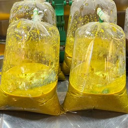 ฉู่ฉี่ปลาทู