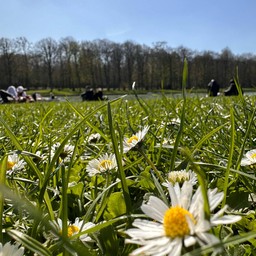 Palace of Versailles