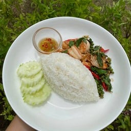 ข้าวราดกะเพรากุ้ง