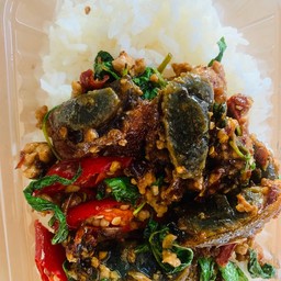 ข้าวราดกะเพราหมูสับไข่เยียวม้า