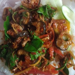 Spicy Stir Fried Eel With Rice