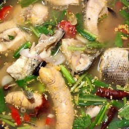 ต้มยำปลาช่อน