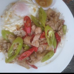 ไก่ผัดพริกหยวกราดข้าว