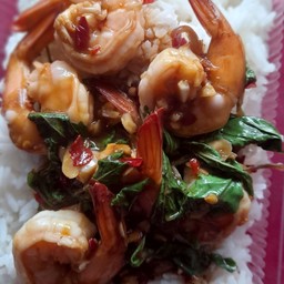 กะเพรากุ้งราดข้าว