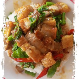 ข้าวหมูกรอบผัดพริกแกง