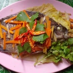 เค้กเมี่ยงปลาเผา พิษณุโลก