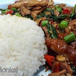 กะเพราขาหมู