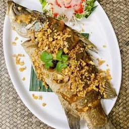 ปลากะพงทอดกระเทียม
