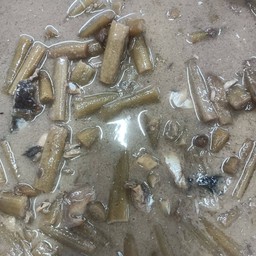 แกงกะทิสายบัว