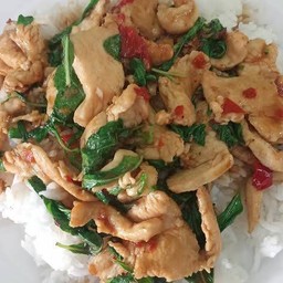 กะเพราคุณจี๊ด