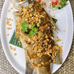 ปลากะพงทอดพร้อมน้ำจิ้มรสเด็ด