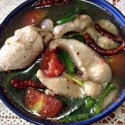 ต้มยำปลาช่อน