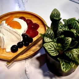 กรีกโยเกิร์ต โฮมเมด