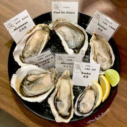 หอยนางรมตัวอวบที่อิมพอร์ตตรงจากฟาร์มผู้ผลิตระดับท๊อปในญี่ปุ่นภายในเวลาแค่ 1 วัน!