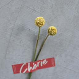 MENU_2356331LA_1690162077