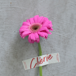 MENU_2356331LA_1690162034