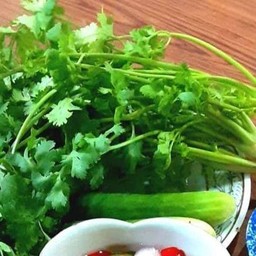 ผักชัไทยเป็นต้น