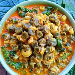 แกงคั่วหอยขม