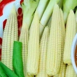 ยอดข้าวโพดอ่อน