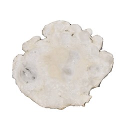 ไข่ขาวล้วนๆดาว